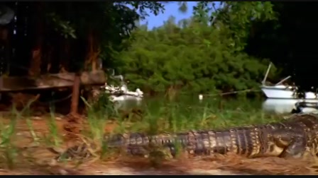 CSI: Miami helyszinelők 6. évad