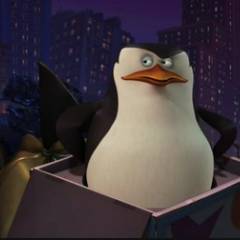 A Madagaszkár pingvinjei  1. évad